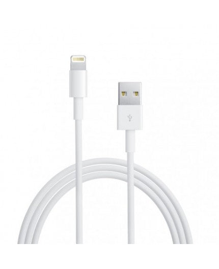 Câble Lightning vers USB (1 m)