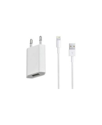 Chargeur iPhone (câble + adaptateur secteur)